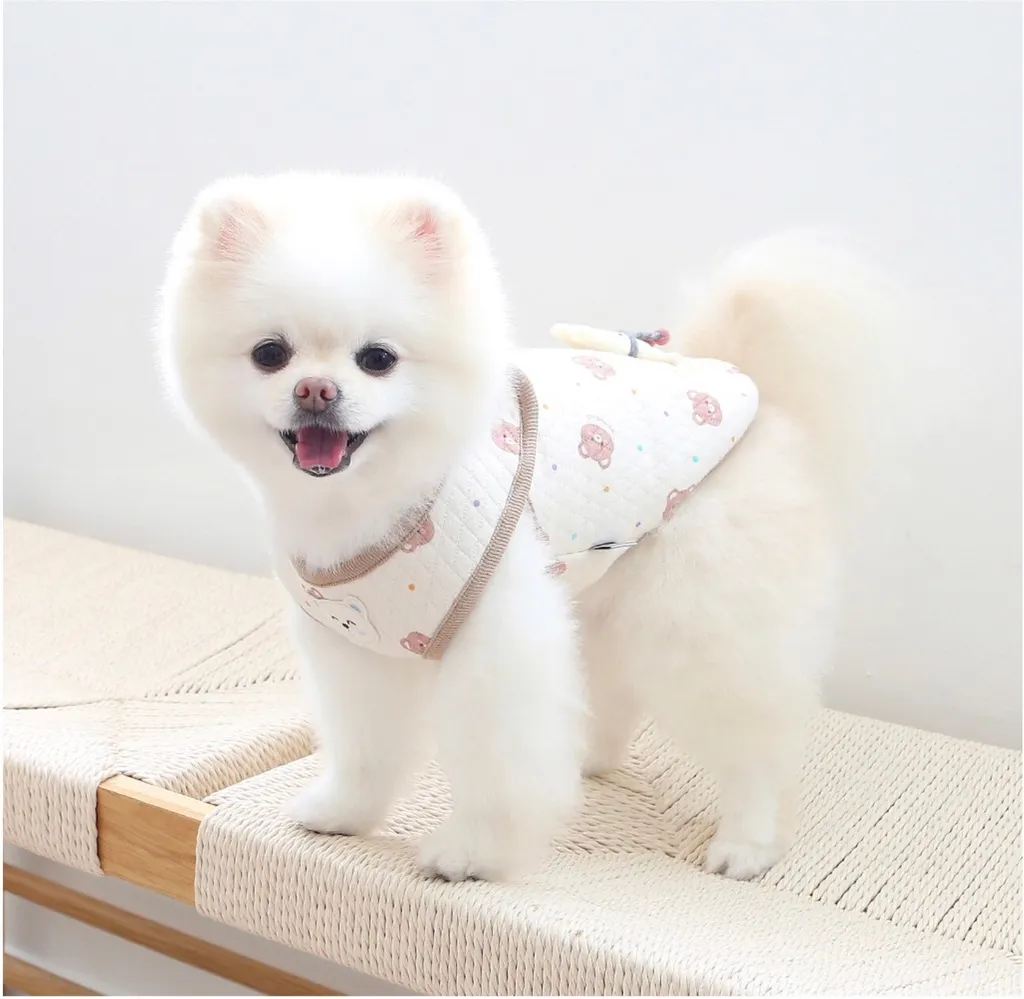 LINE_ALBUM_Itsdog有機棉_240122_30