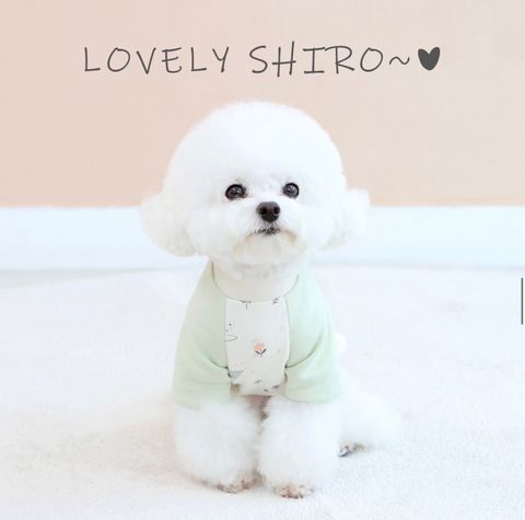 LINE_ALBUM_Itsdog有機棉_240122_46