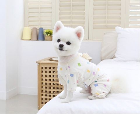 LINE_ALBUM_Itsdog有機棉_240122_52