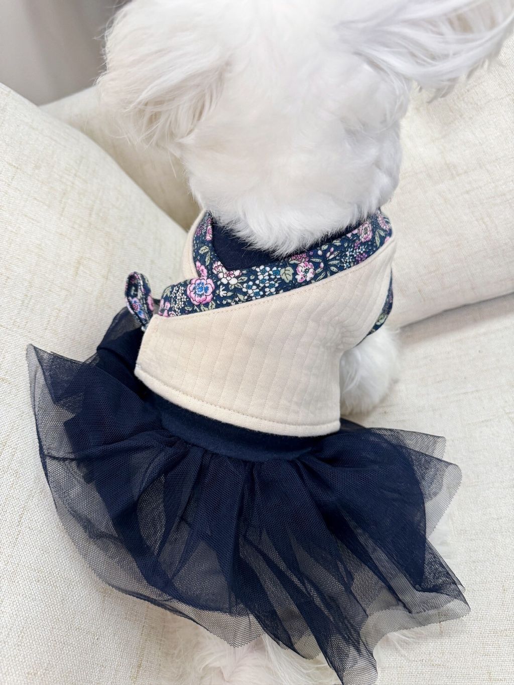 LINE_ALBUM_Grooming dog_240125_53