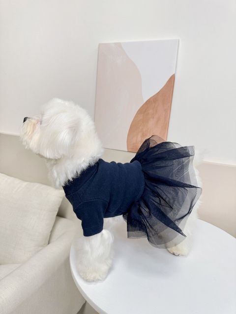 LINE_ALBUM_Grooming dog_240125_74