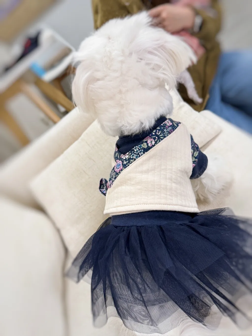 LINE_ALBUM_Grooming dog_240125_55