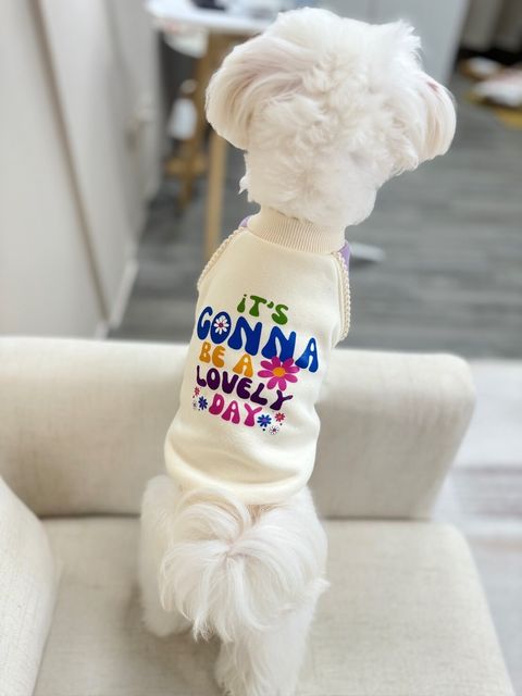 LINE_ALBUM_Grooming dog_240125_87