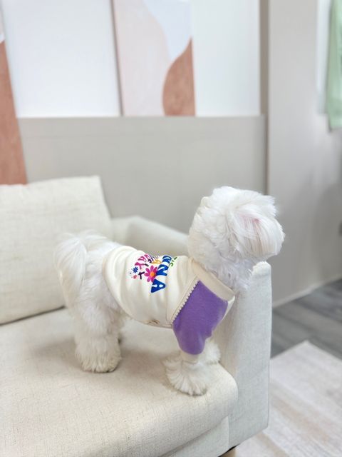 LINE_ALBUM_Grooming dog_240125_84