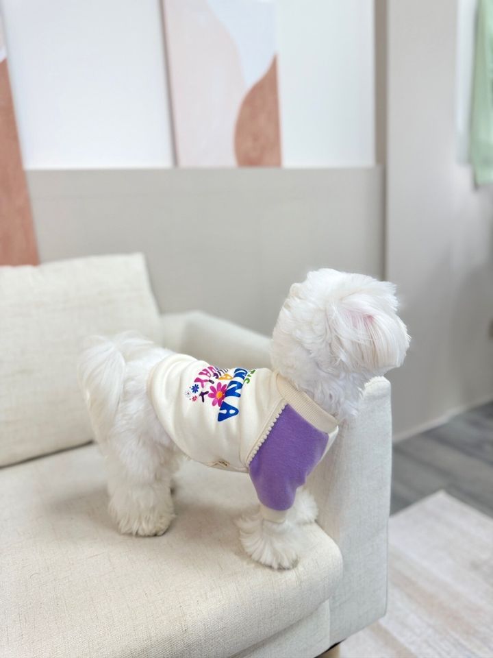 LINE_ALBUM_Grooming dog_240125_84