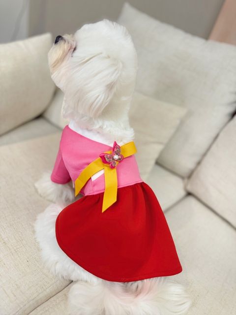 LINE_ALBUM_Grooming dog_240125_128