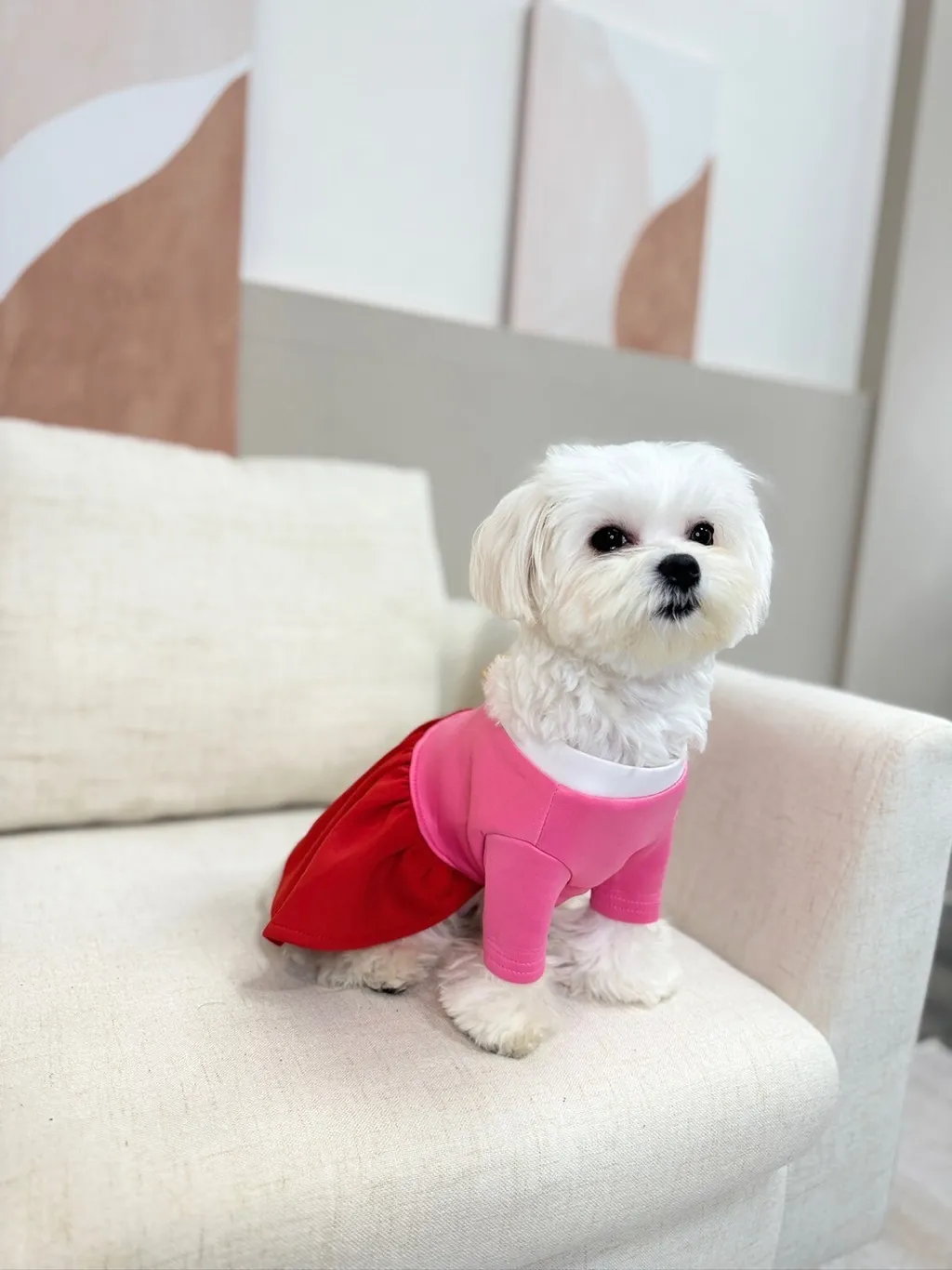 LINE_ALBUM_Grooming dog_240125_130