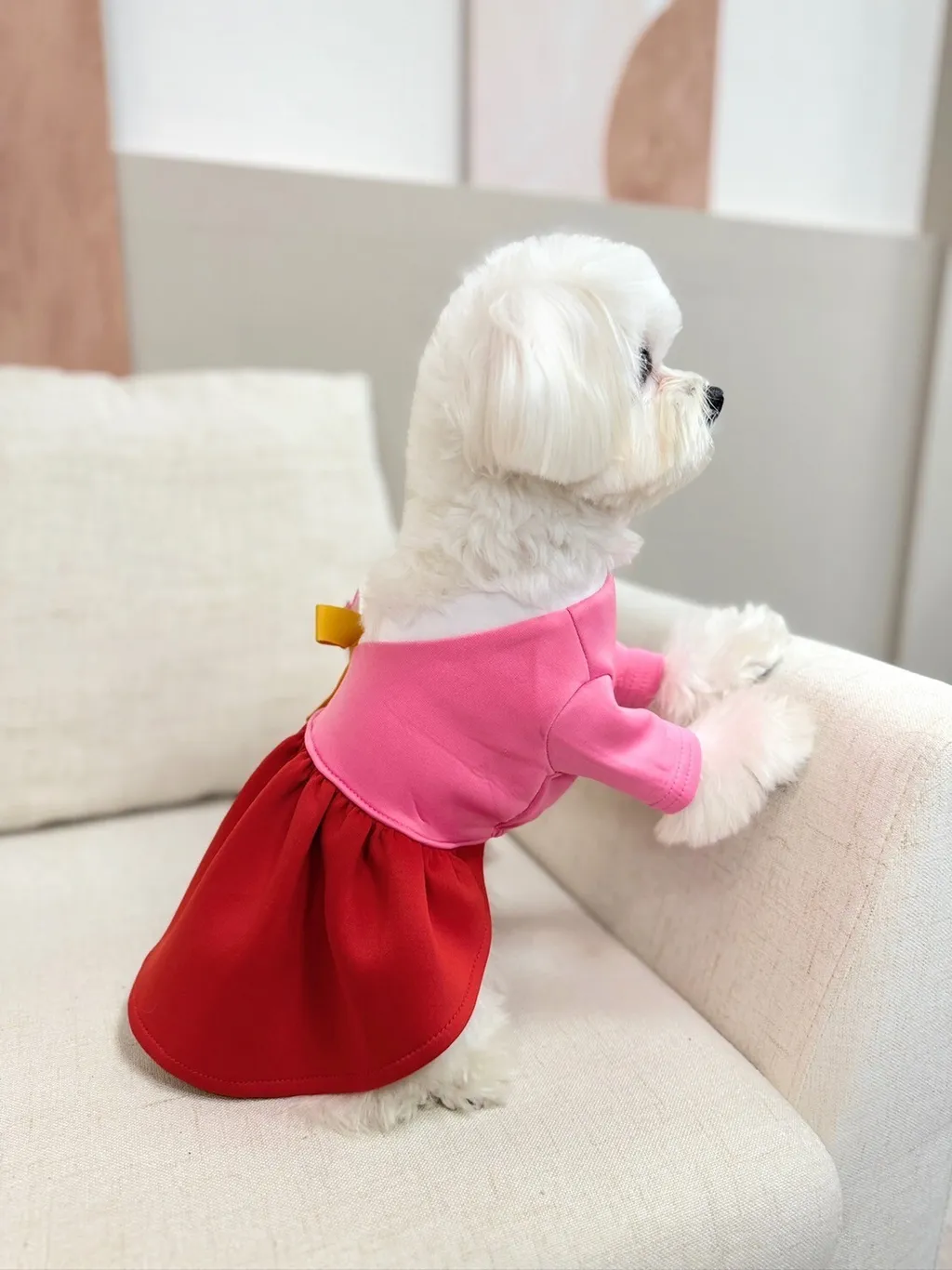 LINE_ALBUM_Grooming dog_240125_122