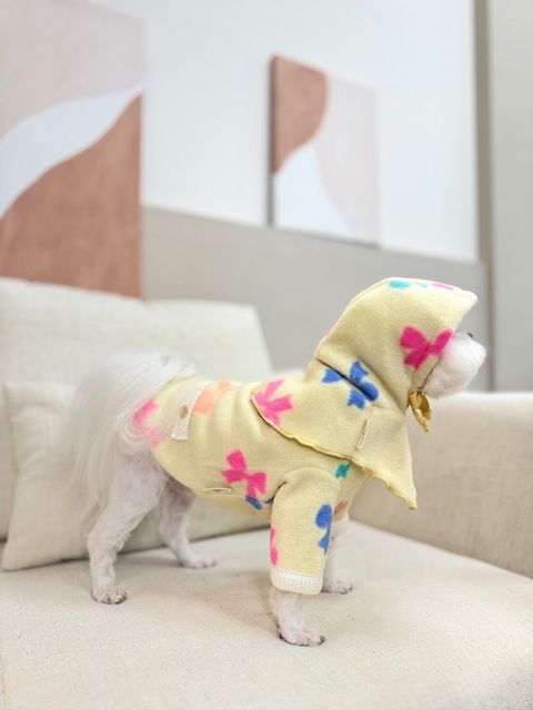LINE_ALBUM_Grooming dog_240125_104