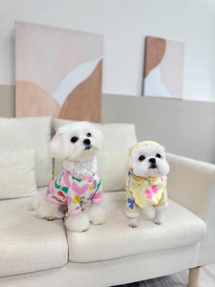 LINE_ALBUM_Grooming dog_240125_100