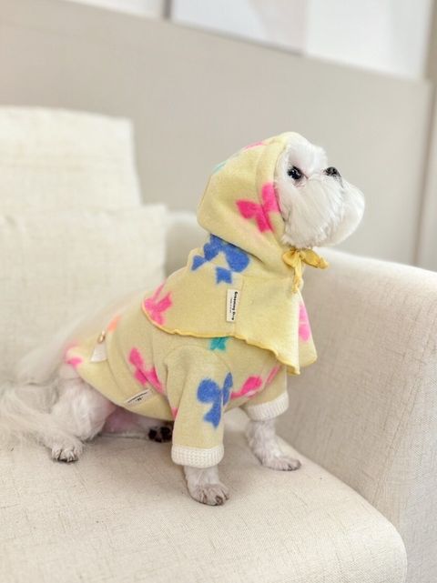 LINE_ALBUM_Grooming dog_240125_94