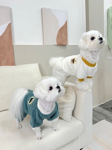 LINE_ALBUM_Doggyholic_240125_107