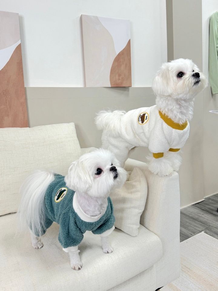 LINE_ALBUM_Doggyholic_240125_107