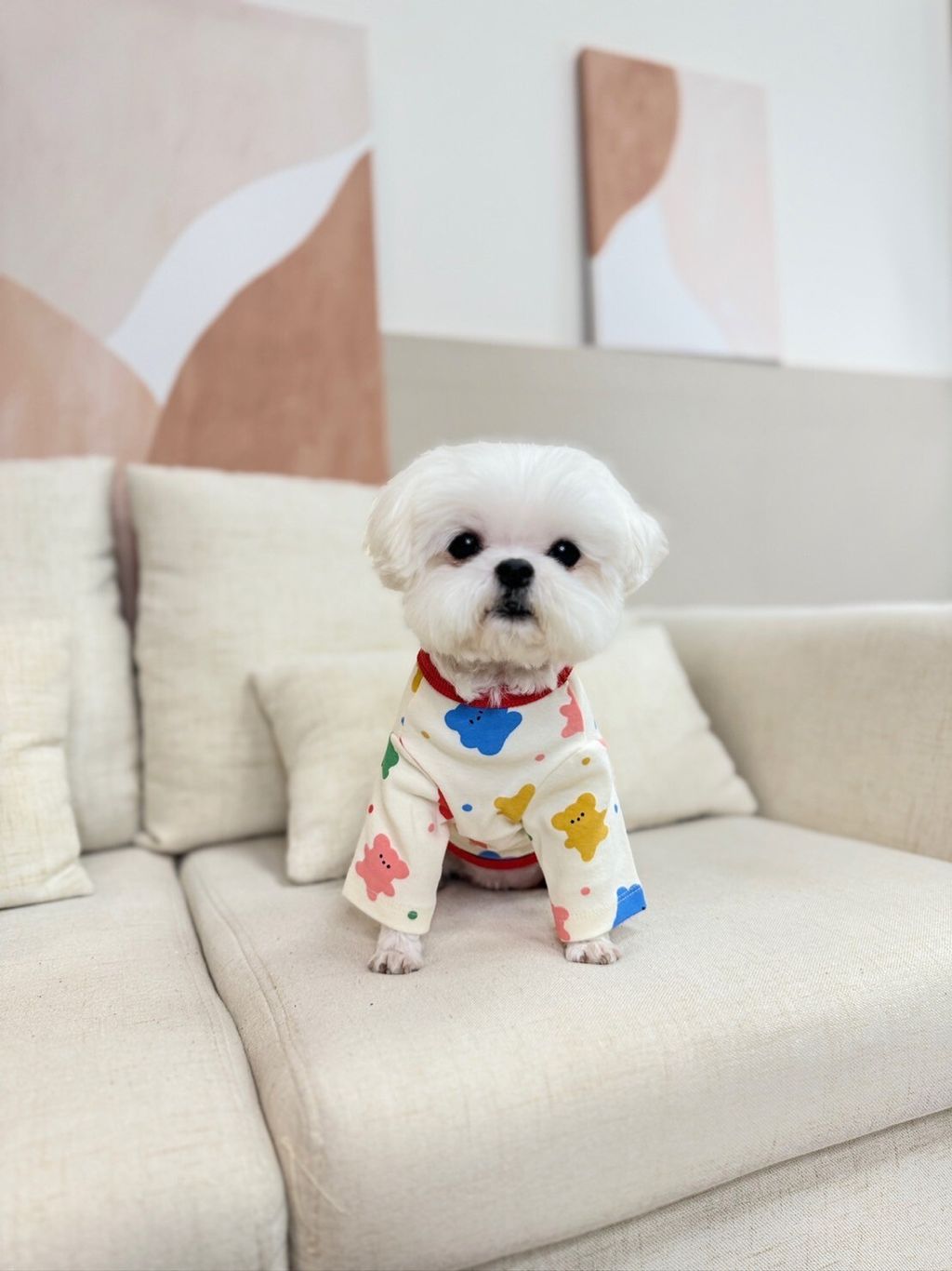 LINE_ALBUM_Doggyholic_240125_72