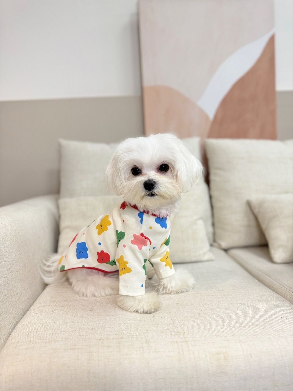 LINE_ALBUM_Doggyholic_240125_71