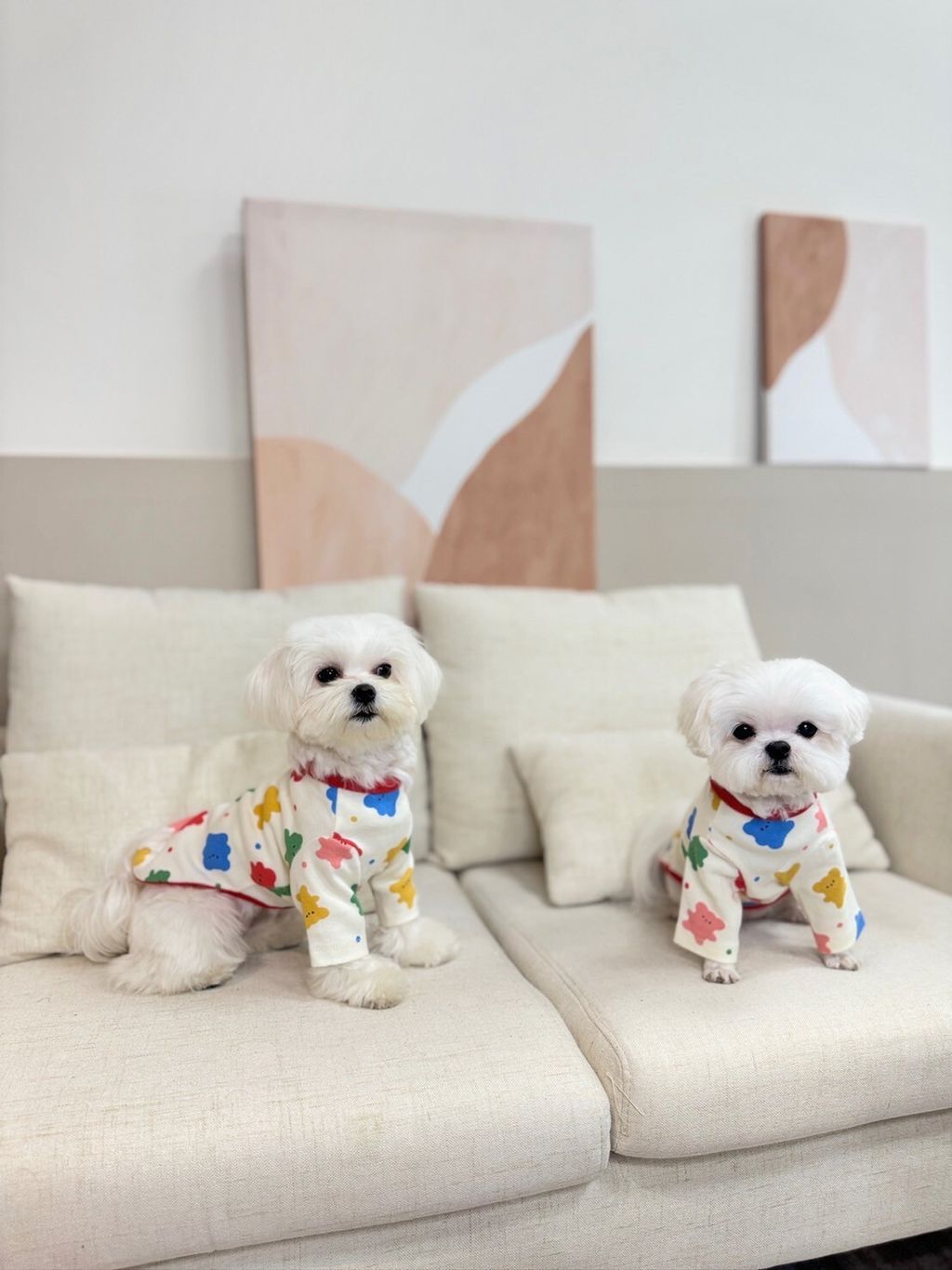 LINE_ALBUM_Doggyholic_240125_73