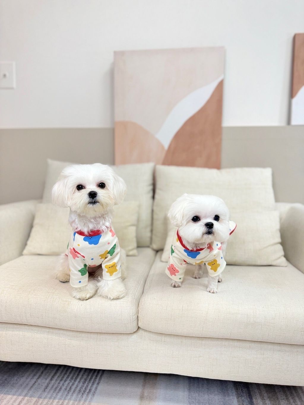 LINE_ALBUM_Doggyholic_240125_85