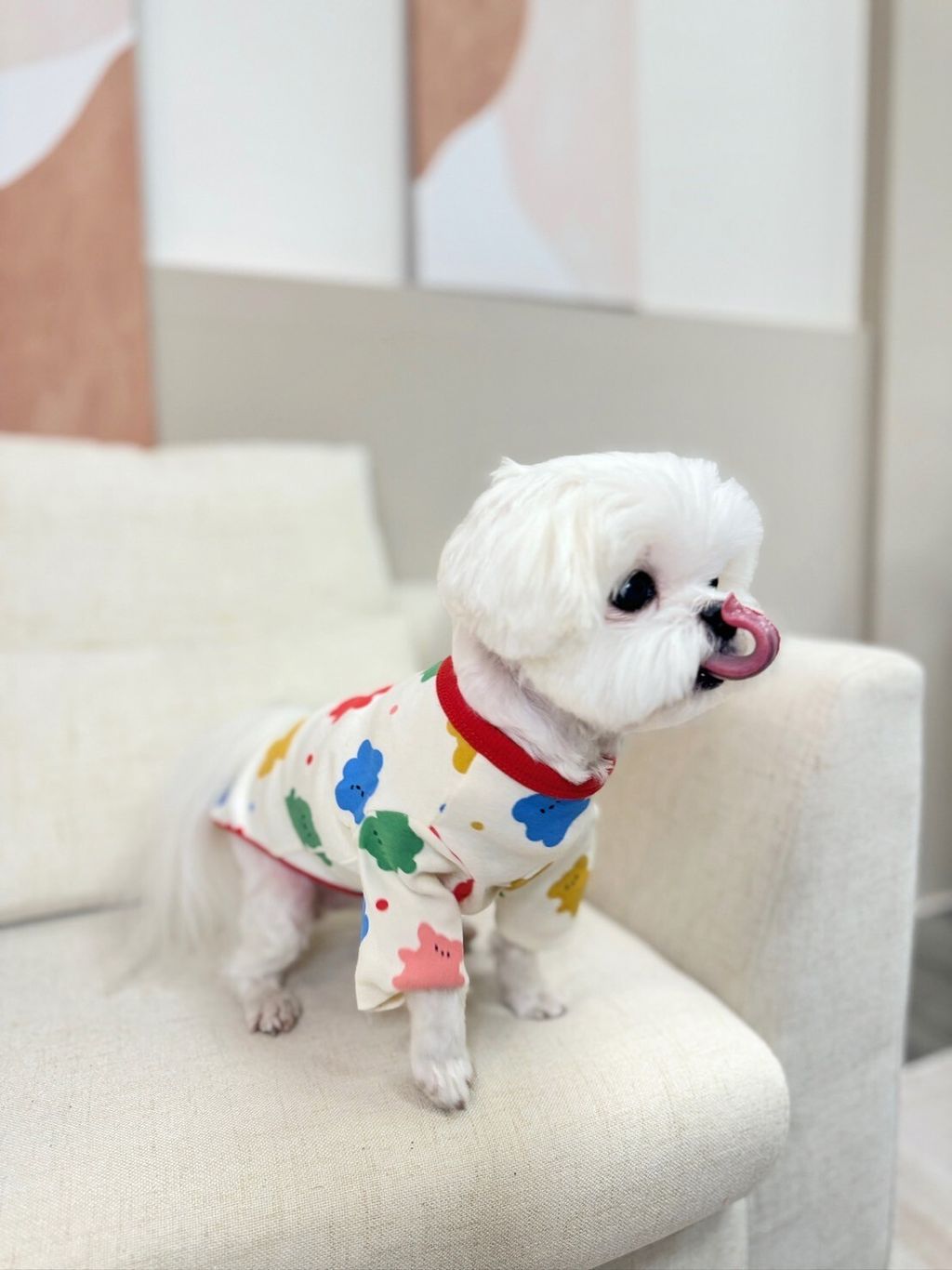 LINE_ALBUM_Doggyholic_240125_88