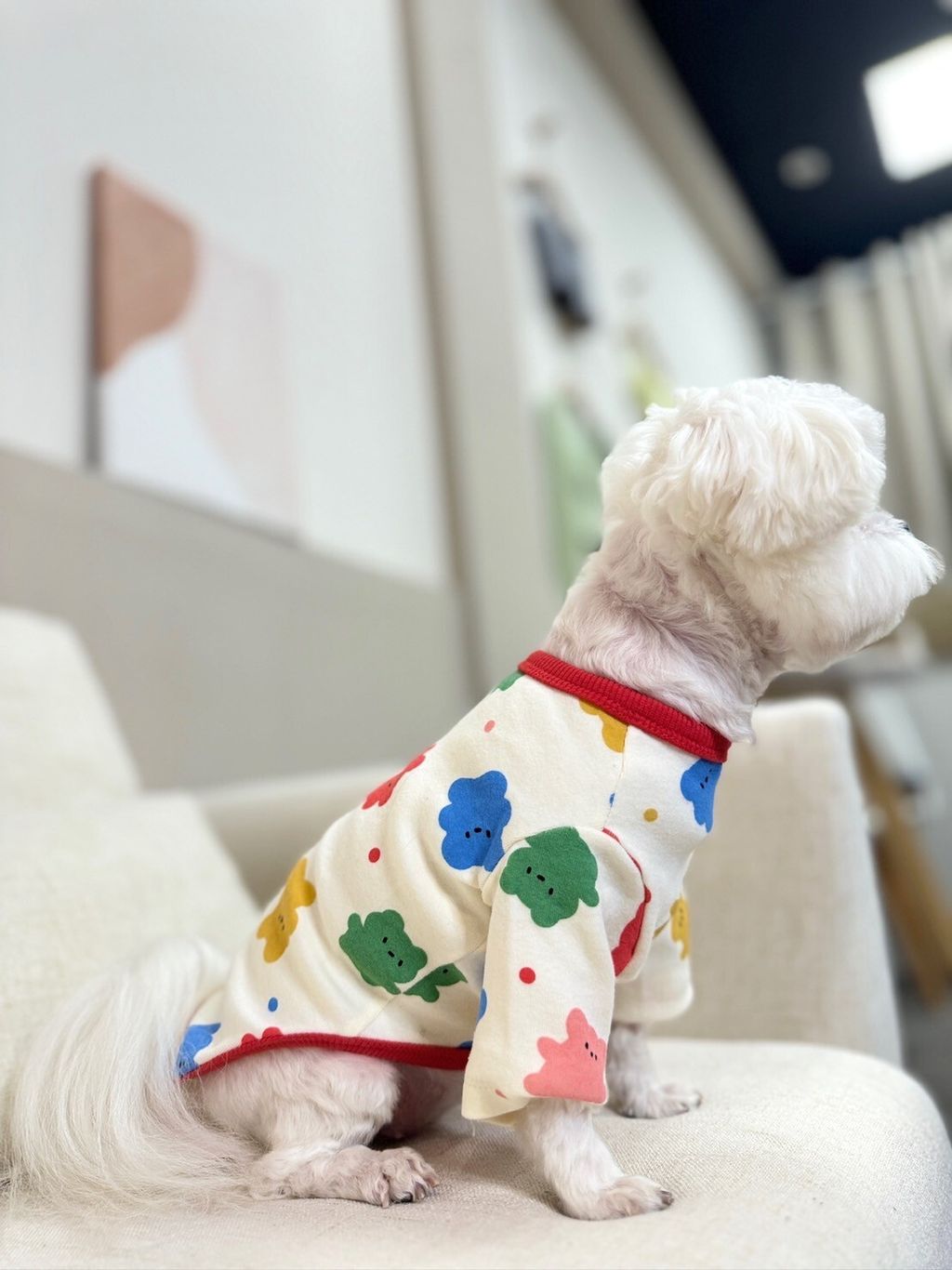 LINE_ALBUM_Doggyholic_240125_87