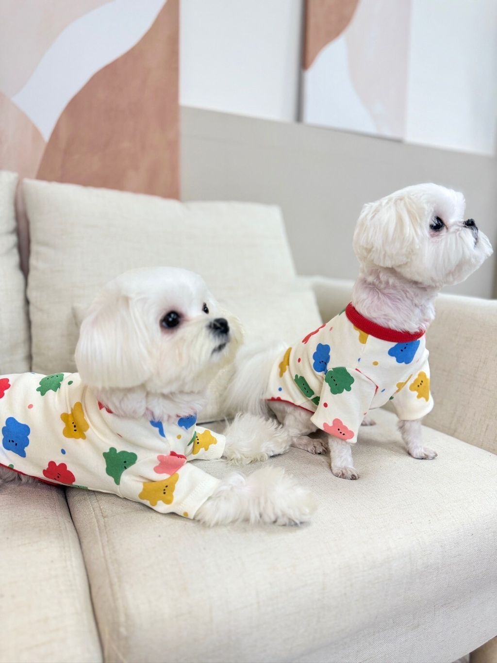 LINE_ALBUM_Doggyholic_240125_78