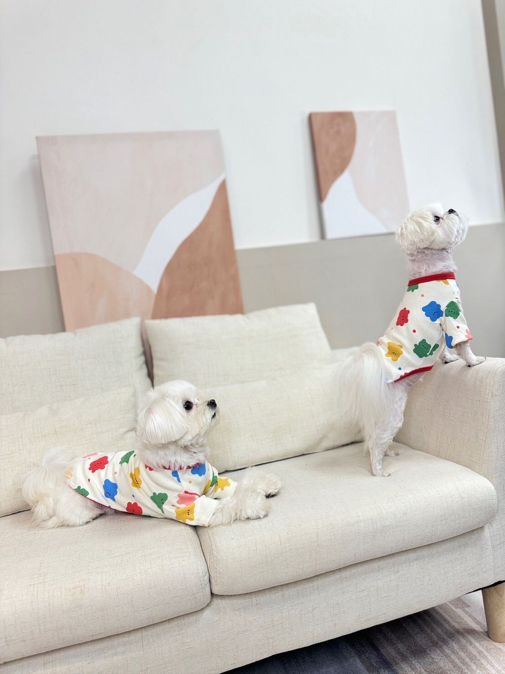 LINE_ALBUM_Doggyholic_240125_79