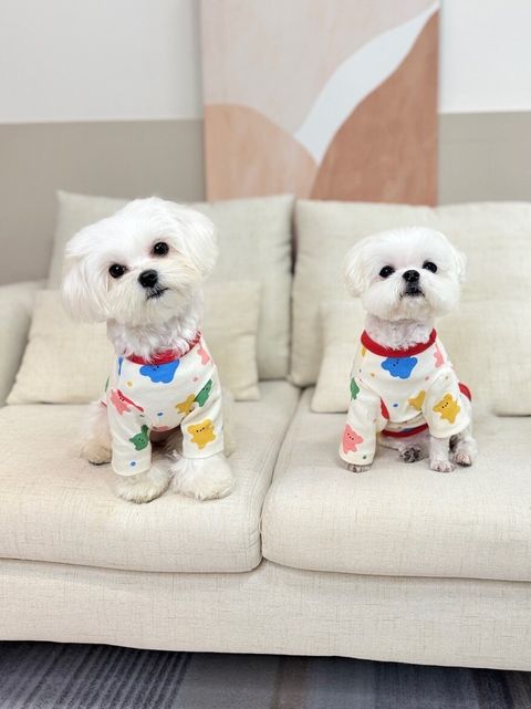 LINE_ALBUM_Doggyholic_240125_83