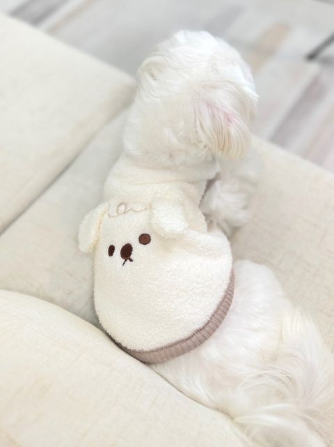 LINE_ALBUM_Doggyholic_240125_94