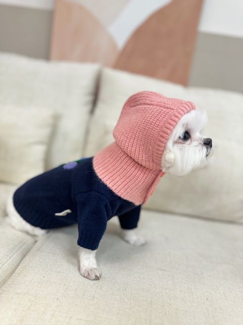 LINE_ALBUM_Doggyholic_240125_114