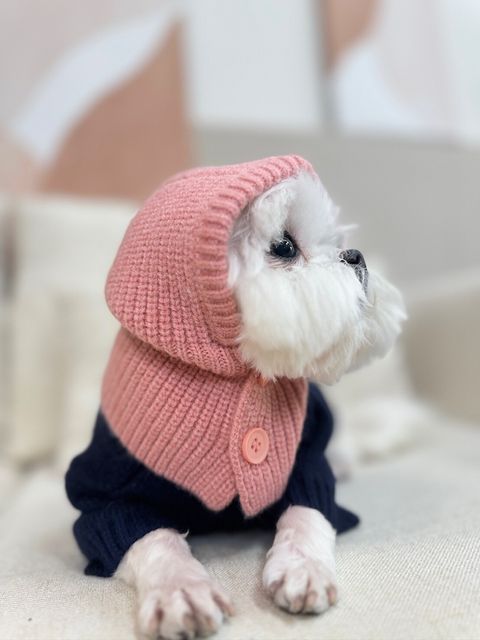 LINE_ALBUM_Doggyholic_240125_118