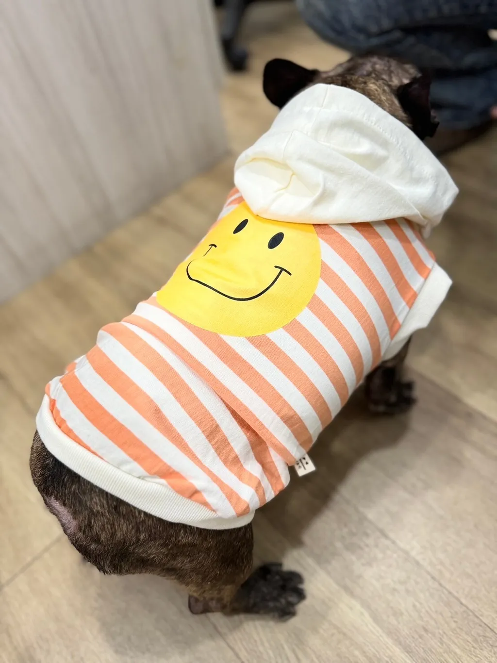 LINE_ALBUM_Doggyholic_240125_58