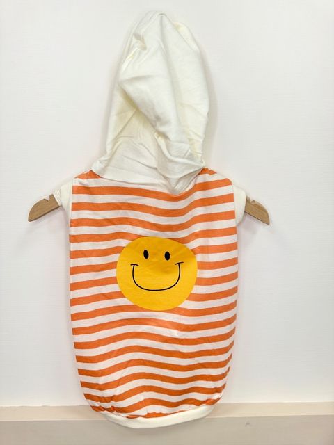 LINE_ALBUM_Doggyholic_240125_142