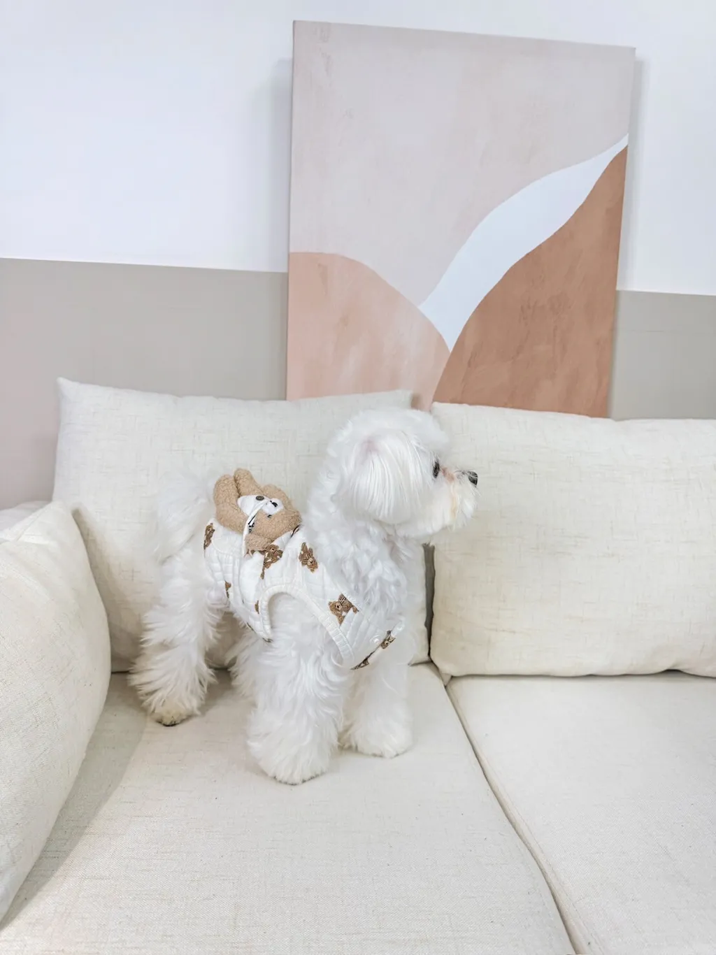 LINE_ALBUM_Doggyholic_240125_35