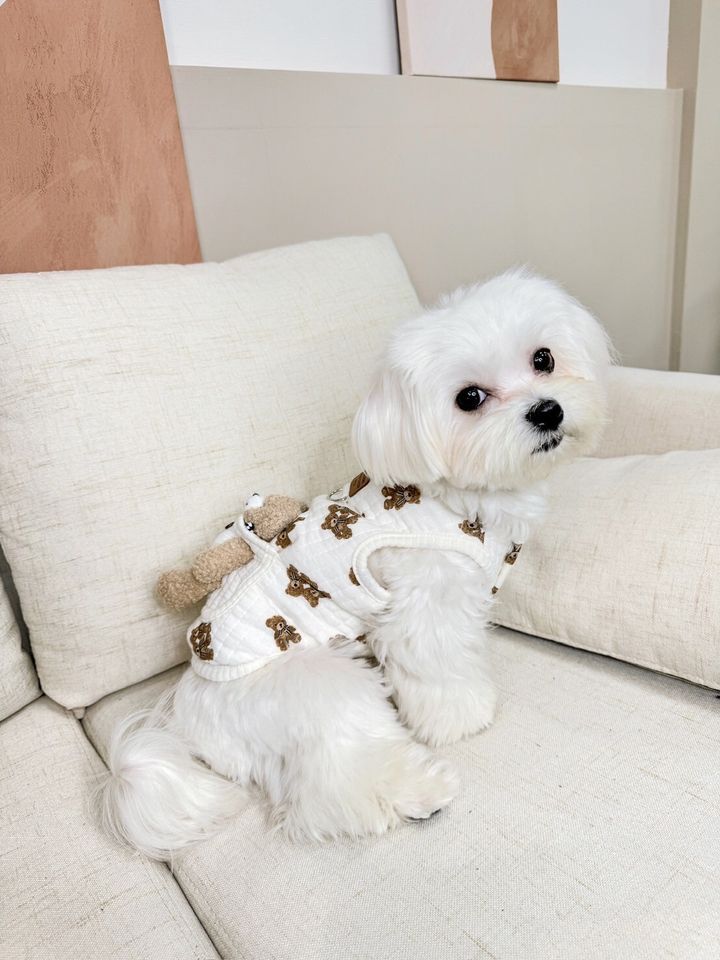 LINE_ALBUM_Doggyholic_240125_31