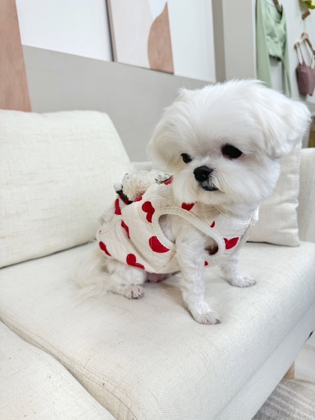 LINE_ALBUM_Doggyholic_240125_157