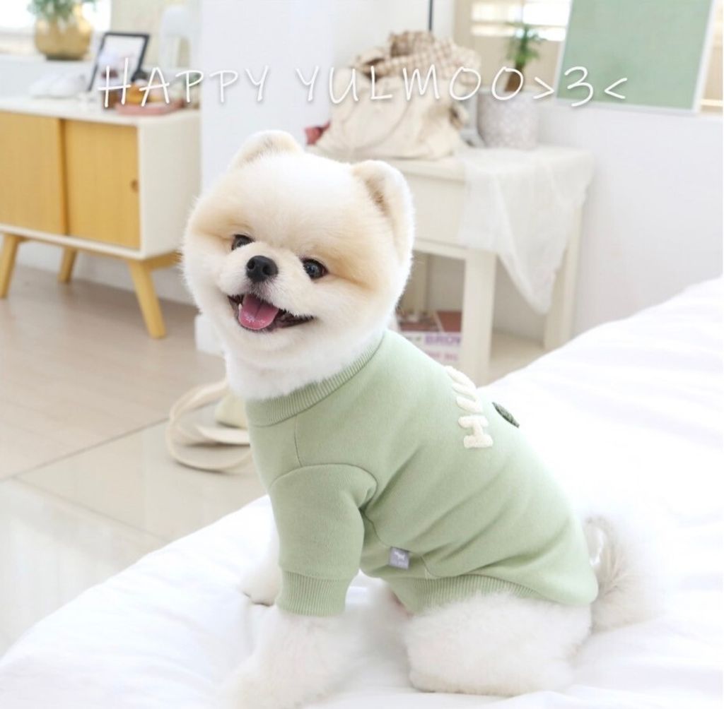 LINE_ALBUM_Itsdog 一般_240125_7
