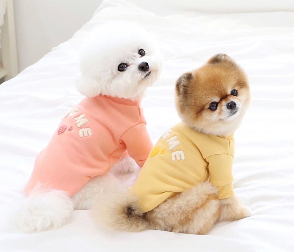 LINE_ALBUM_Itsdog 一般_240125_8