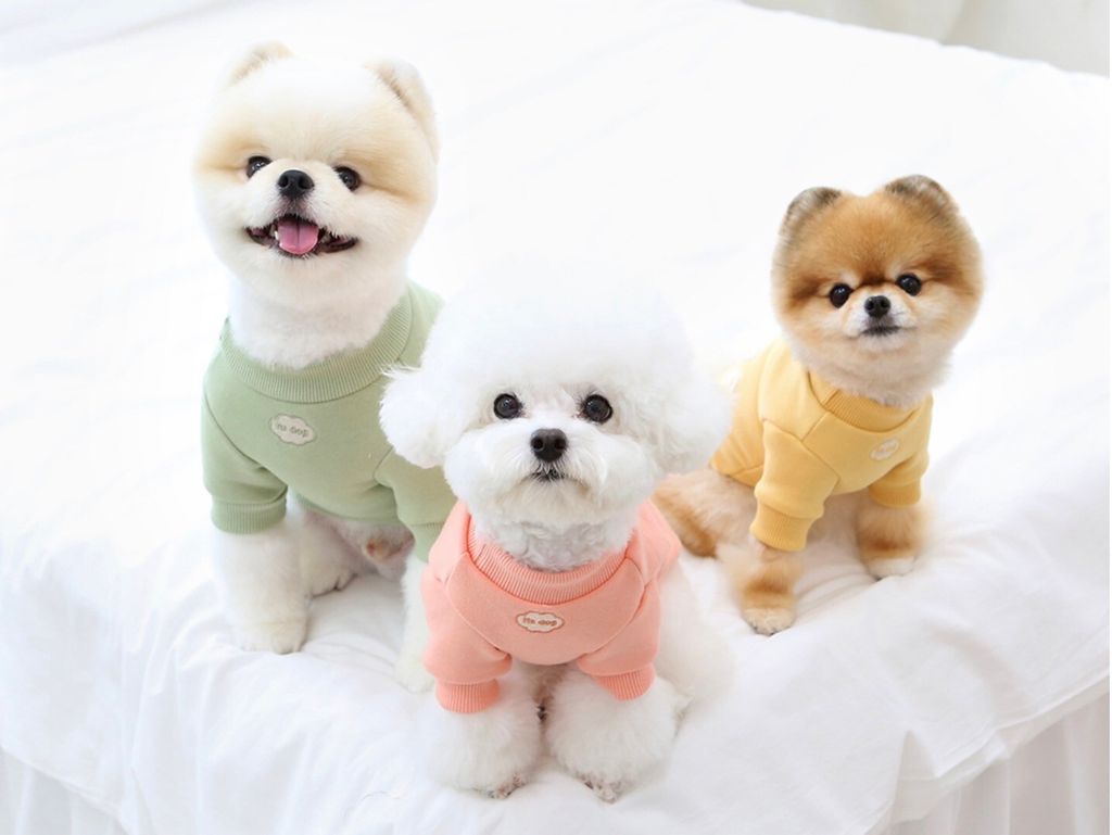 LINE_ALBUM_Itsdog 一般_240125_9