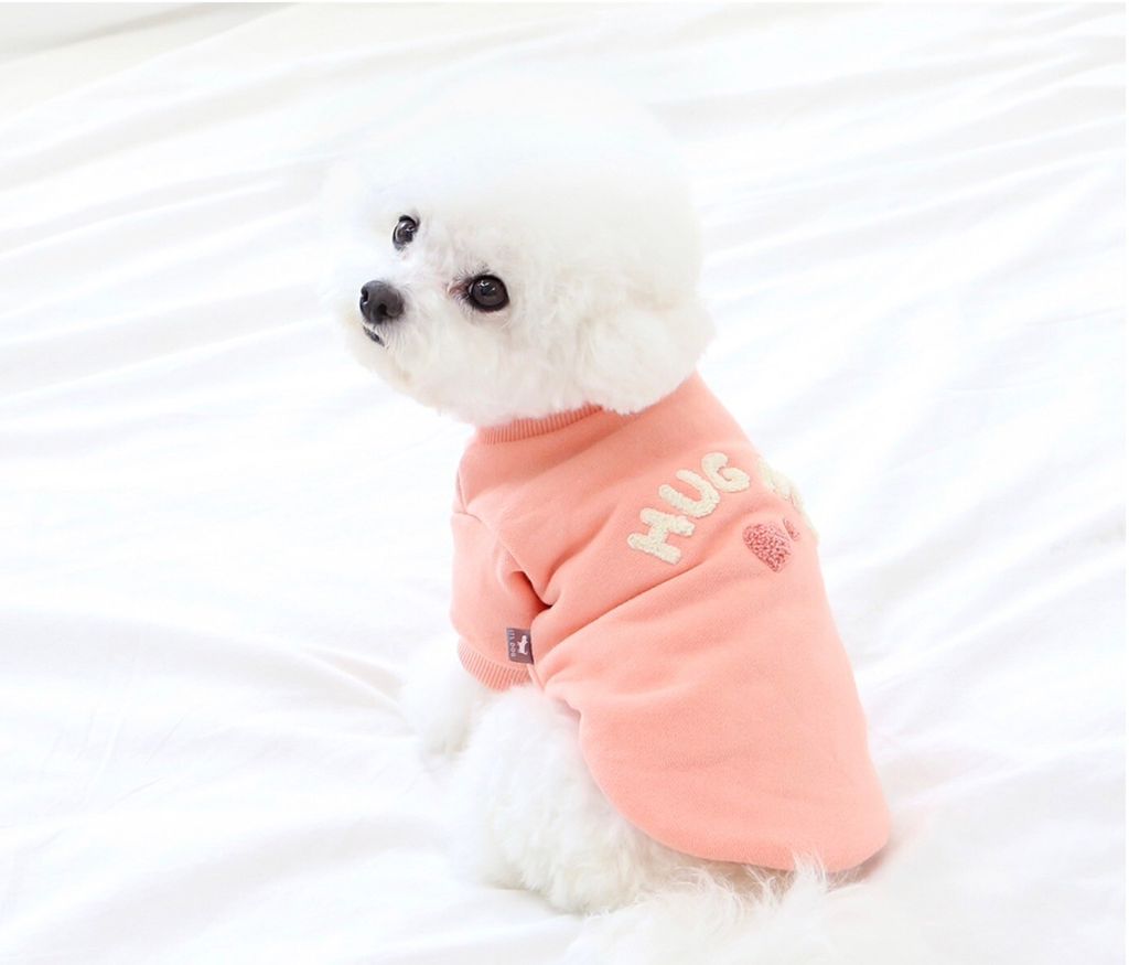 LINE_ALBUM_Itsdog 一般_240125_3
