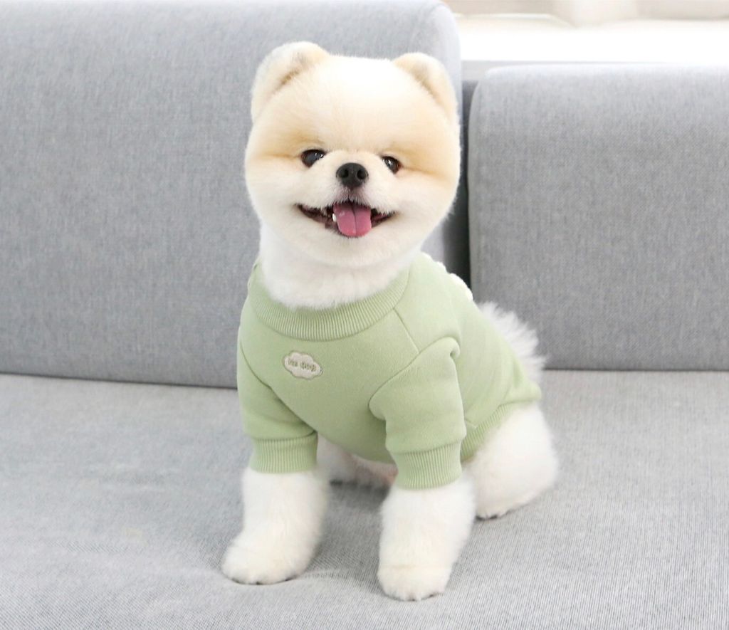 LINE_ALBUM_Itsdog 一般_240125_6