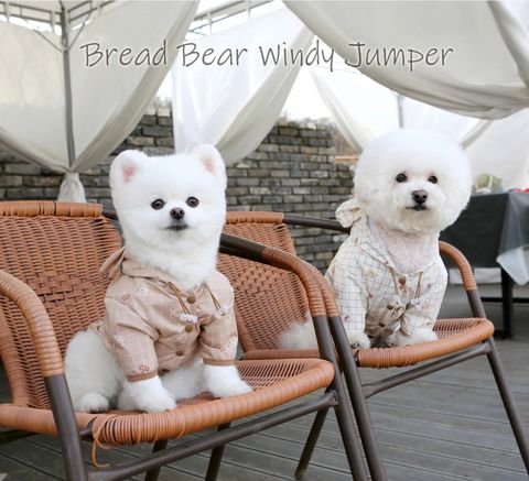 LINE_ALBUM_Itsdog 一般_240125_17