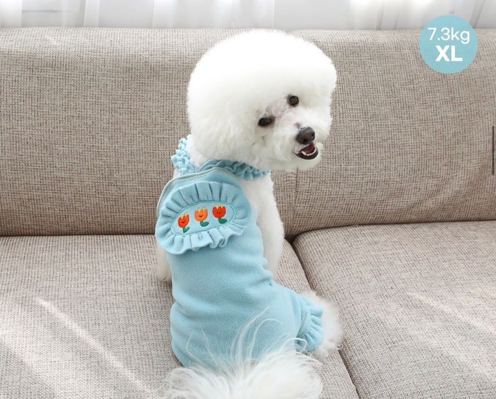LINE_ALBUM_Itsdog 一般_240125_51