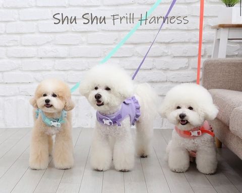 LINE_ALBUM_Itsdog 一般_240126_48