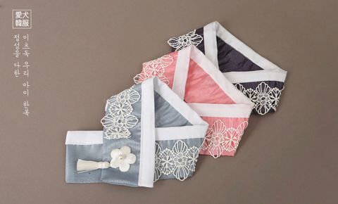 LINE_ALBUM_Itsdog 一般_240126_77