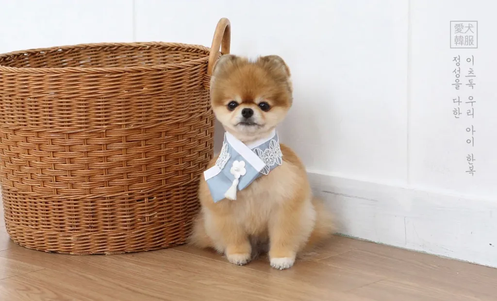LINE_ALBUM_Itsdog 一般_240126_79