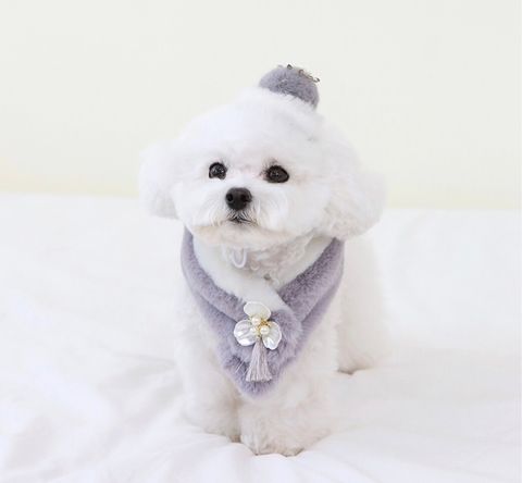LINE_ALBUM_Itsdog 一般_240126_92
