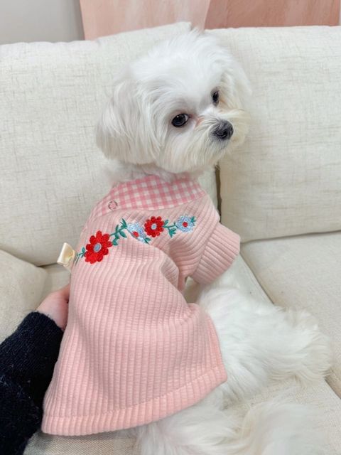 LINE_ALBUM_Zoobico_240128_1