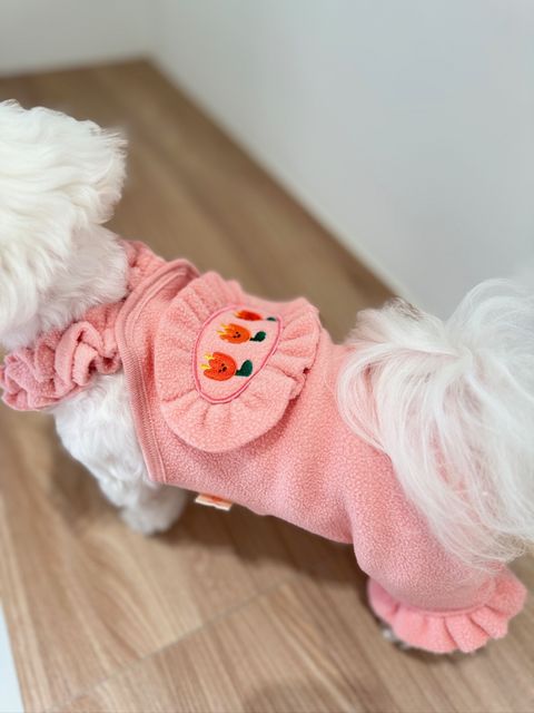 IMG_0506-1708016767009