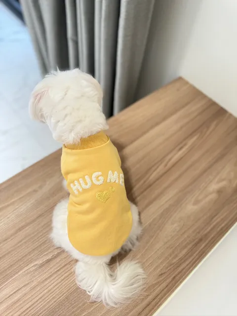 IMG_0691-1708016983305