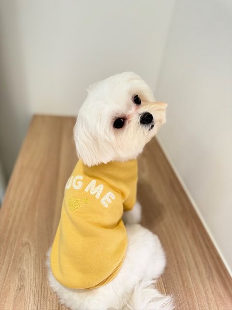 IMG_8696-1708016983373