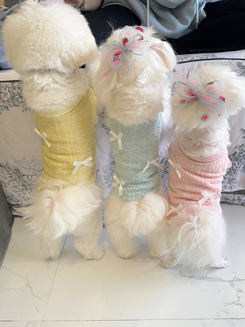 IMG_8582-1708017252184